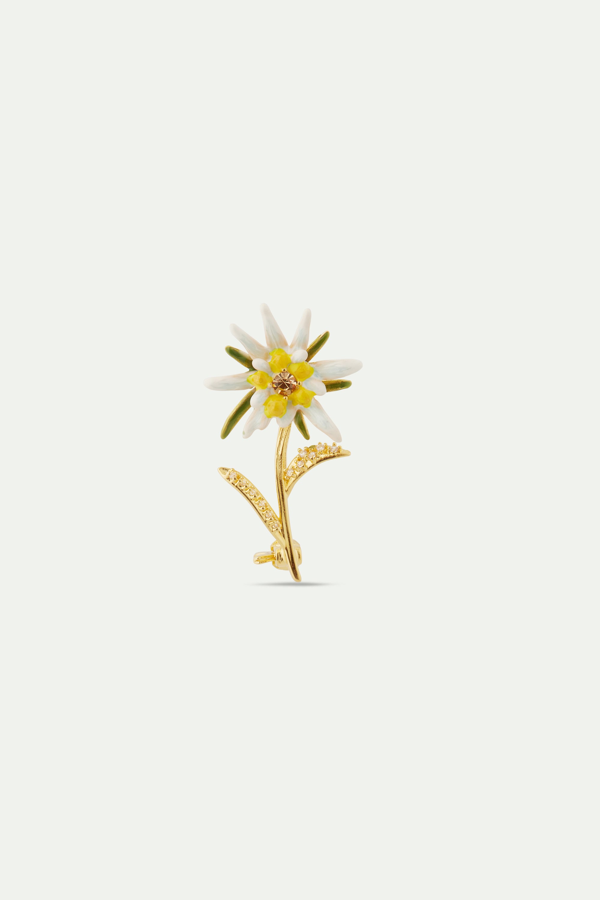 Broche fleur d'edelweiss