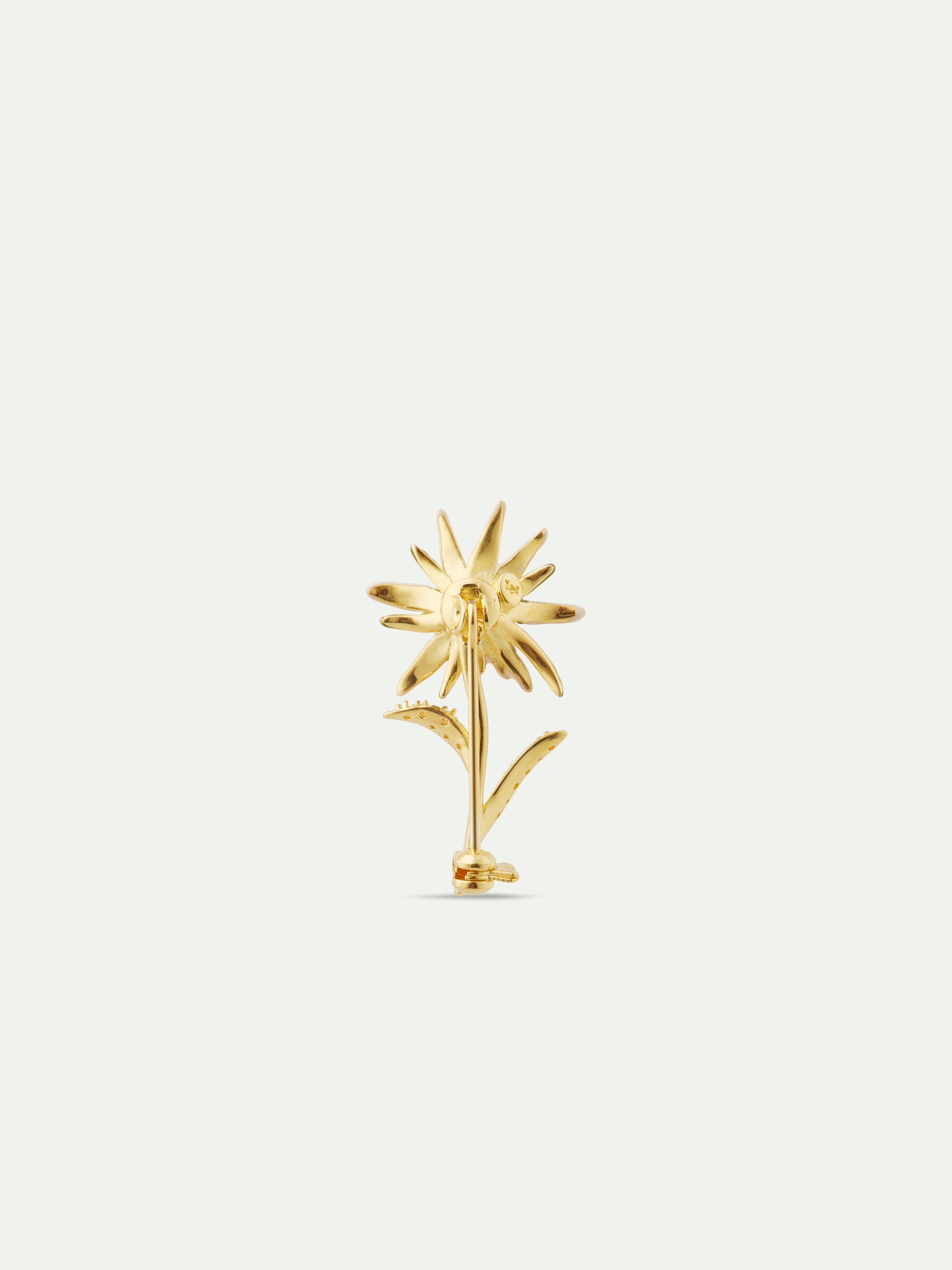 Edelweiss flower brooch