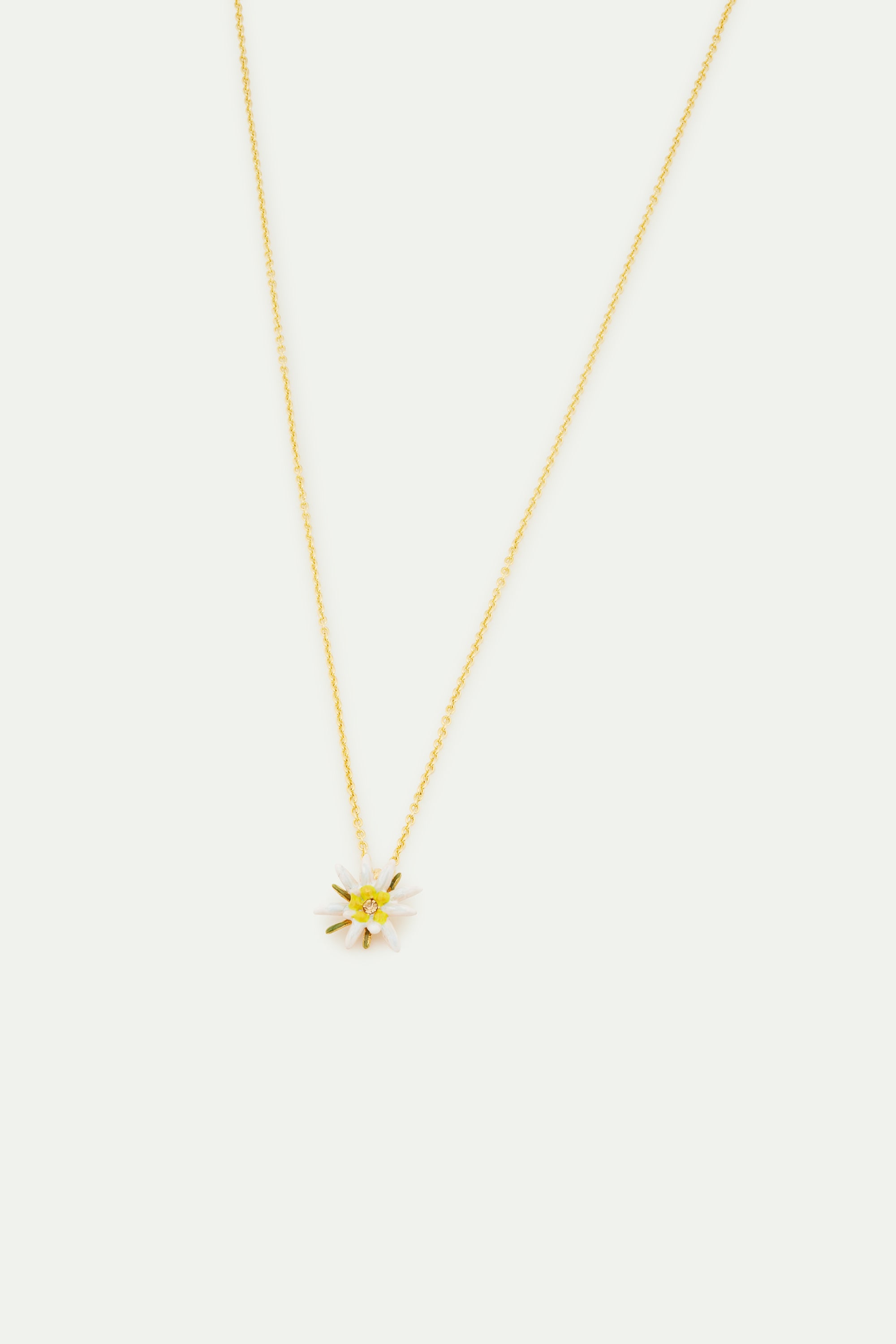 Collier pendentif fleur d'edelweiss