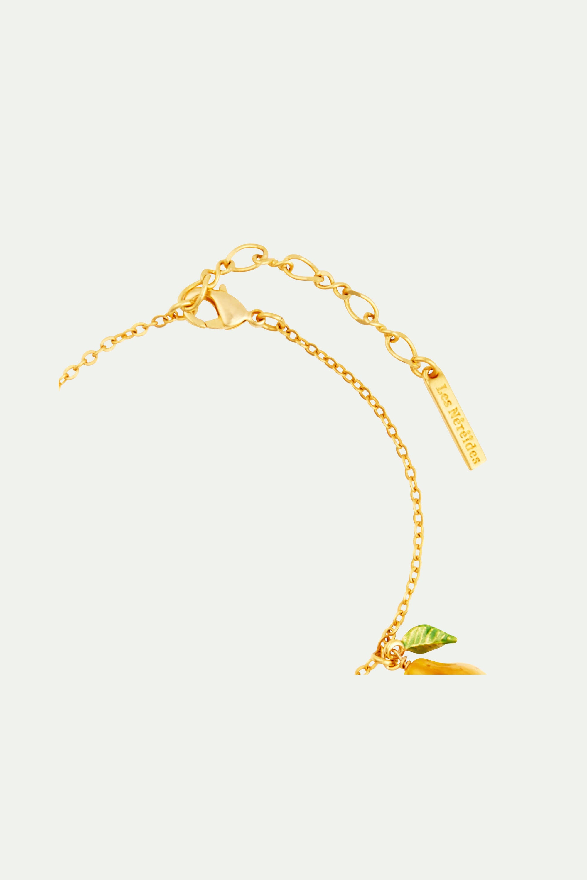 Bracelet charm's fruits du verger et fleurs romantiques