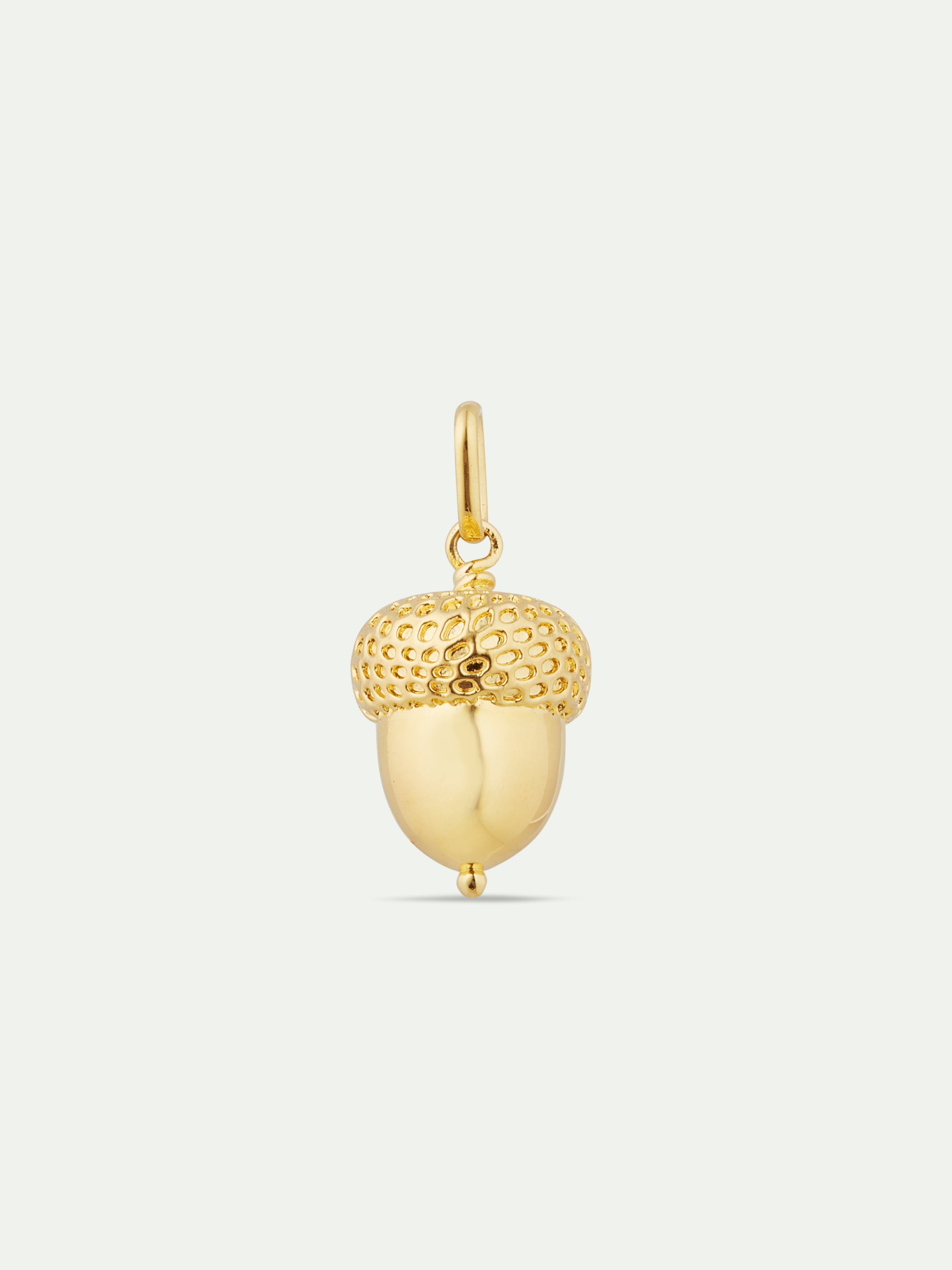 Golden acorn pendant: Wisdom and Abundance